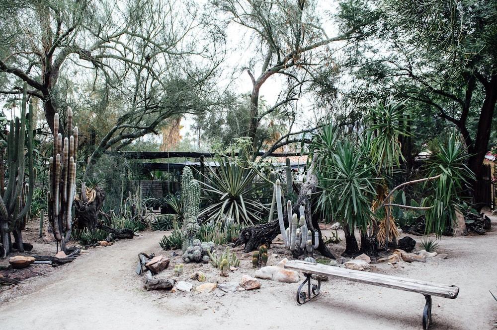 Desert Lodge Palm Springs Bagian luar foto