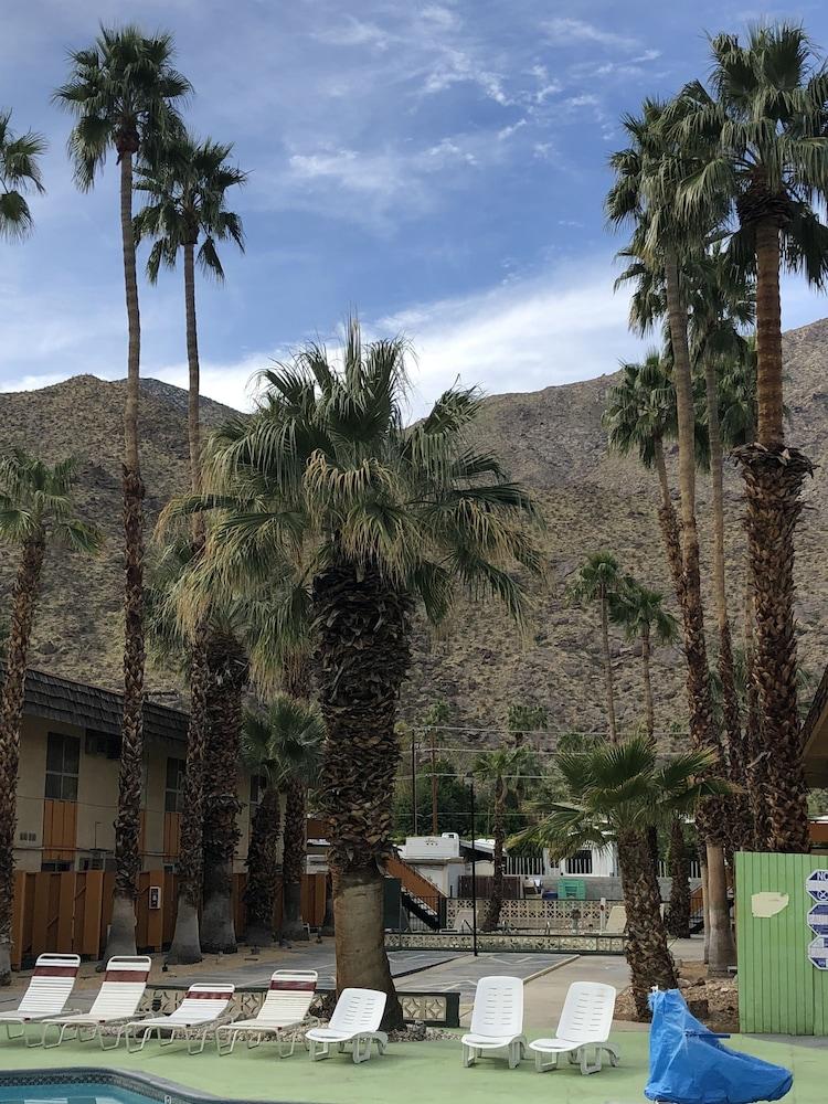 Desert Lodge Palm Springs Bagian luar foto