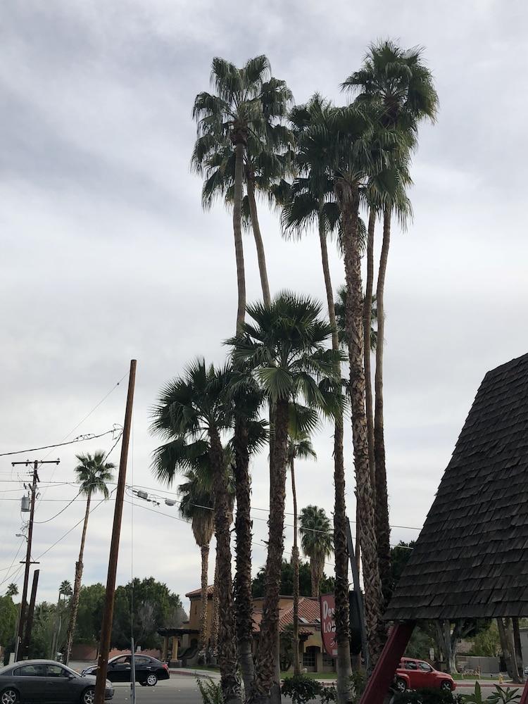 Desert Lodge Palm Springs Bagian luar foto