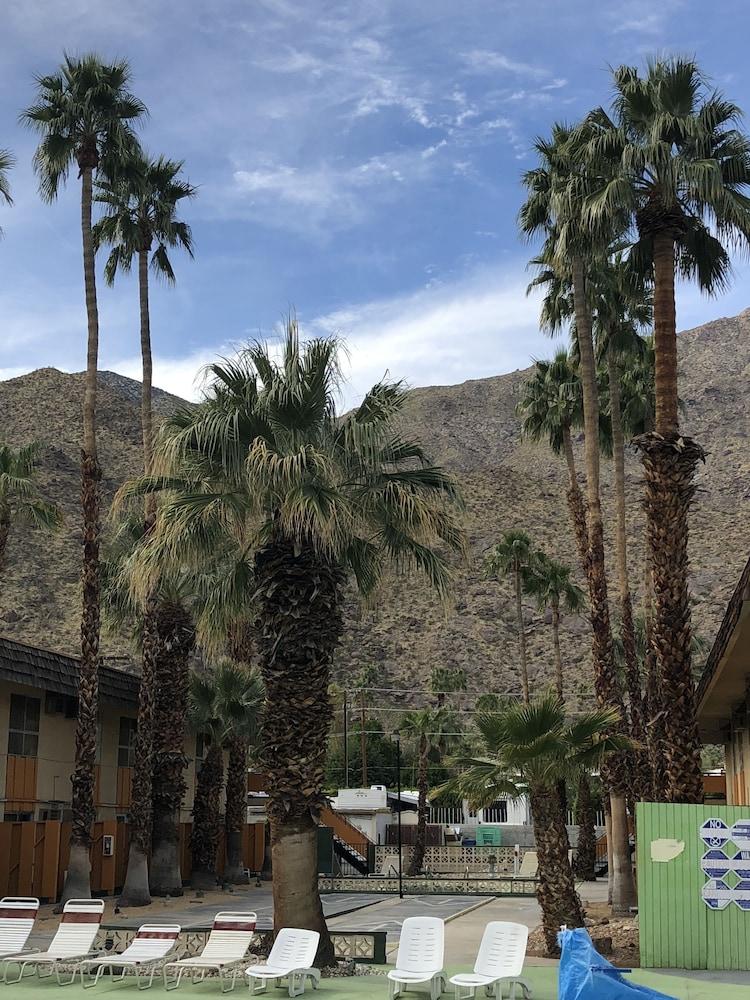 Desert Lodge Palm Springs Bagian luar foto