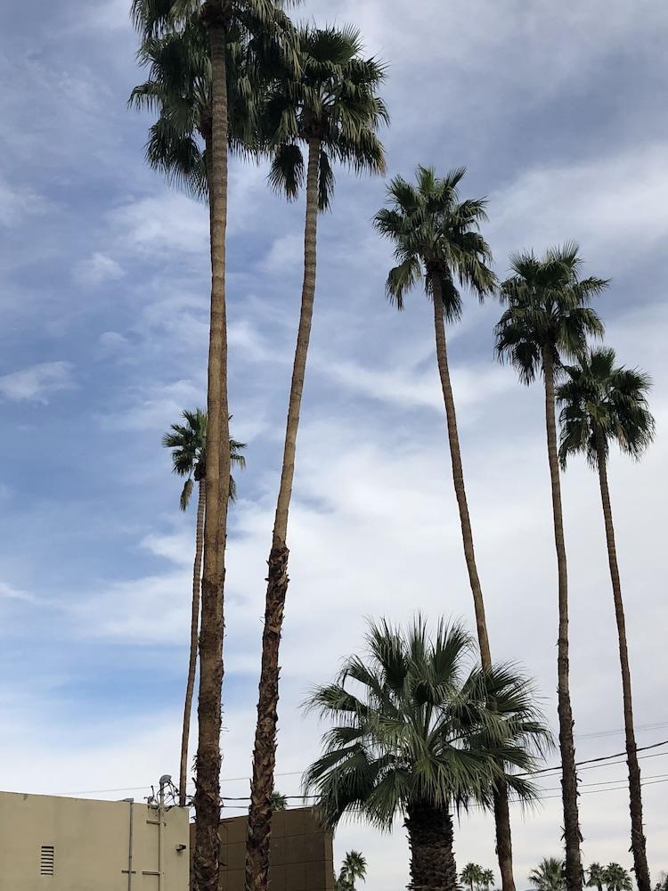 Desert Lodge Palm Springs Bagian luar foto