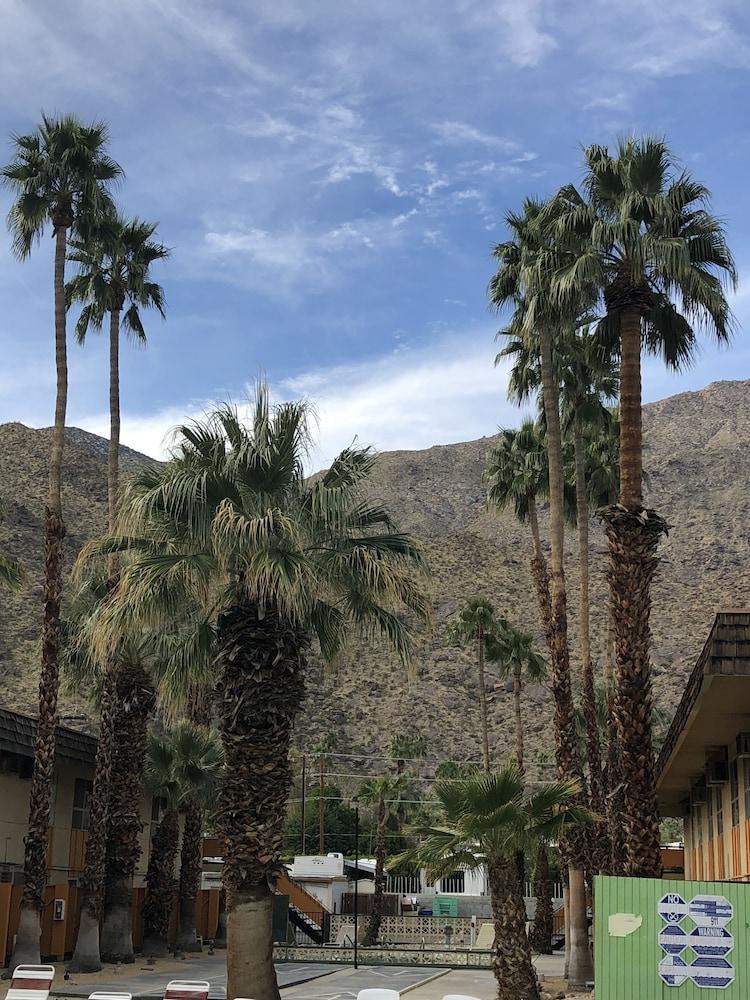 Desert Lodge Palm Springs Bagian luar foto